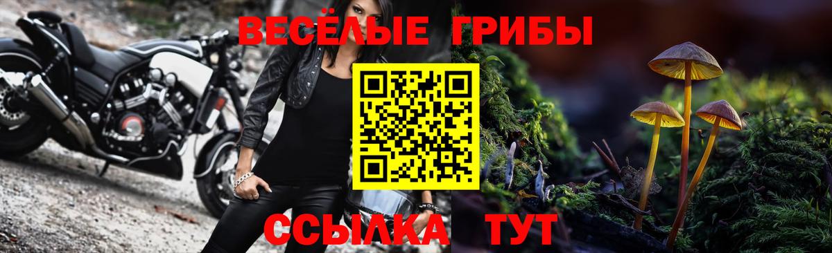 Псилоцибиновые грибы MAGIC MUSHROOMS  Вход с VPN  Бугуруслан 